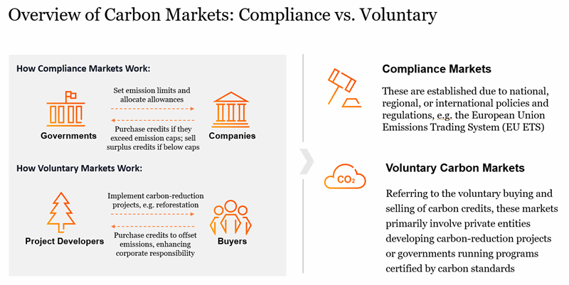 Sustainability Blog_10-11-2025.gif [id=241153]